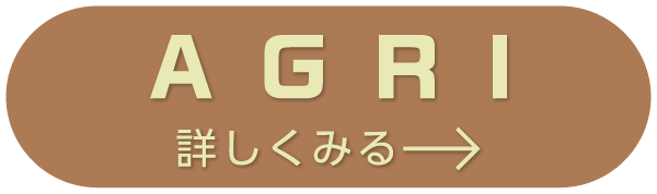 詳しく見る
